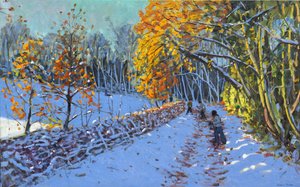 Snebold, Allestree Park, Derby, 2014 af Andrew Macara